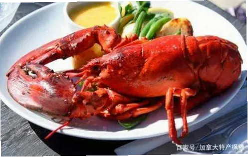 看球赛时，带点加拿大特产给亲友，能增添旅途乐趣